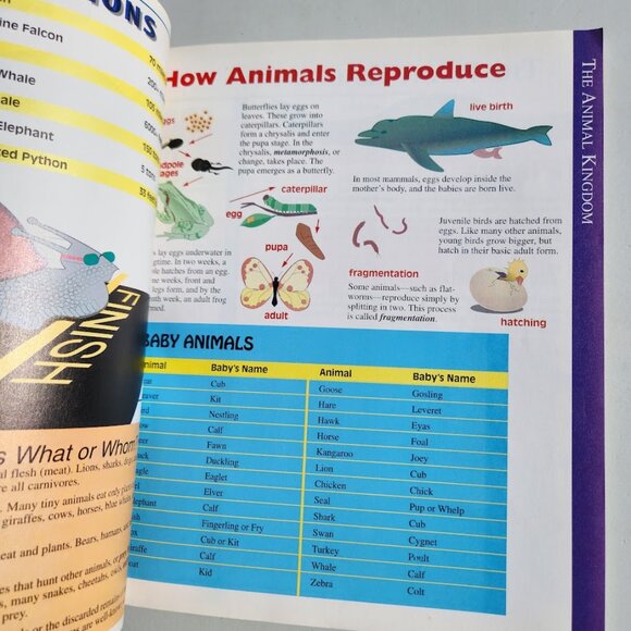 Everything You Need To Know About Science Homework Paperback Book School Supplie - Picture 15 of 16